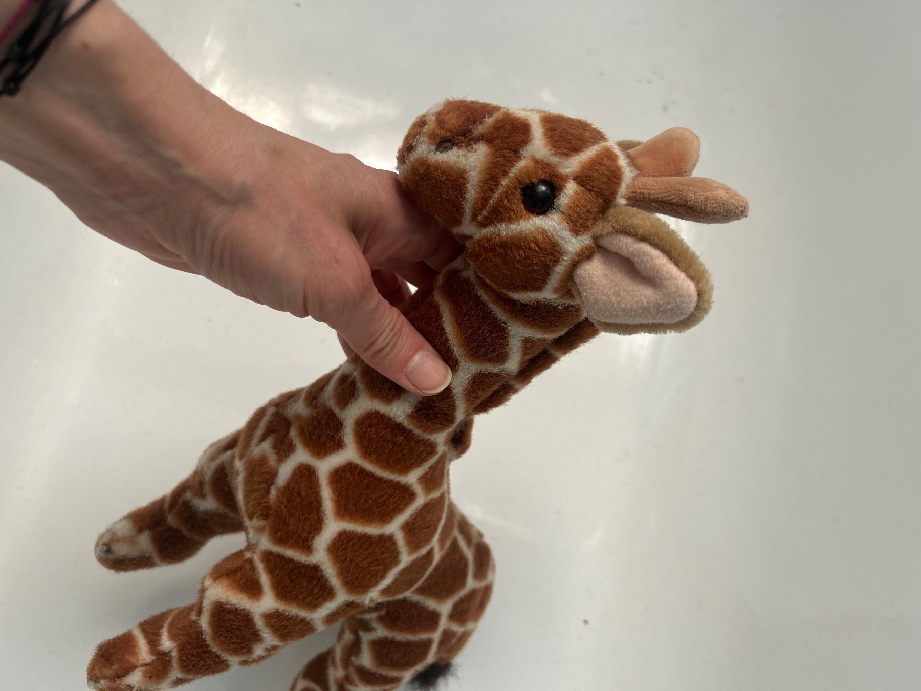 Giocattoli: Plüschtier Giraffe – Nuovo (secondo la descrizione) da St. Gallen venduto da salsera85 1