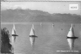 Regates sur le Lac Leman