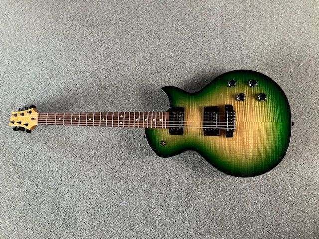 Strumenti musicali: Warmoth Les Paul – Usato da Rothrist venduto da stebismusighuus