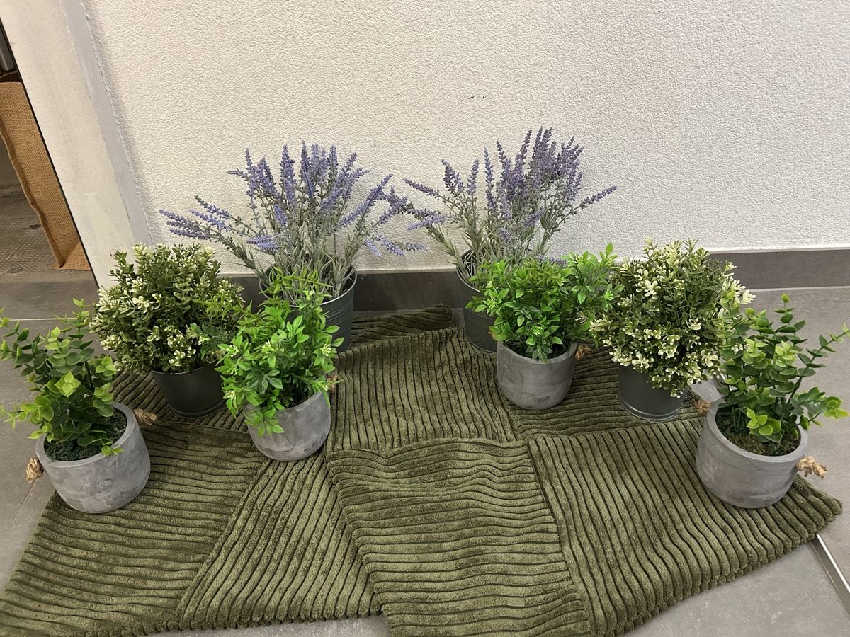 Alle Dekorationen: Deko plantes – Neu (gemäss Beschreibung) aus Perroy von MR6.