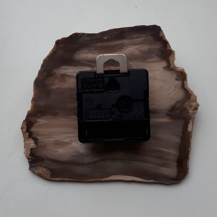 Fossili: Steinuhr Versteinertes Holz – Nuovo (secondo la descrizione) da Buttikon SZ venduto da dew_fb5l 1