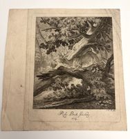 💚 HISTORISCHE RADIERUNG Johann Elias Ridinger (1698–1767)💚