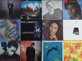 12 Langspielplatten