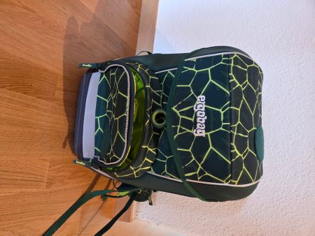 Schulranzen Ergobag Dino Muster guter Zustand