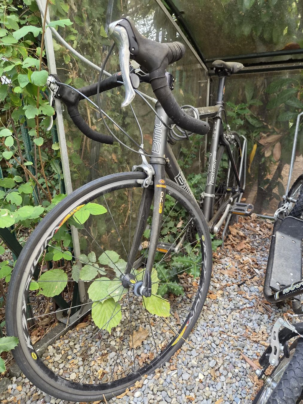 BMC Biciclette: BMC Road Racer SL02 Grösse 56 – Difettoso da Zürich venduto da Phippu100 1