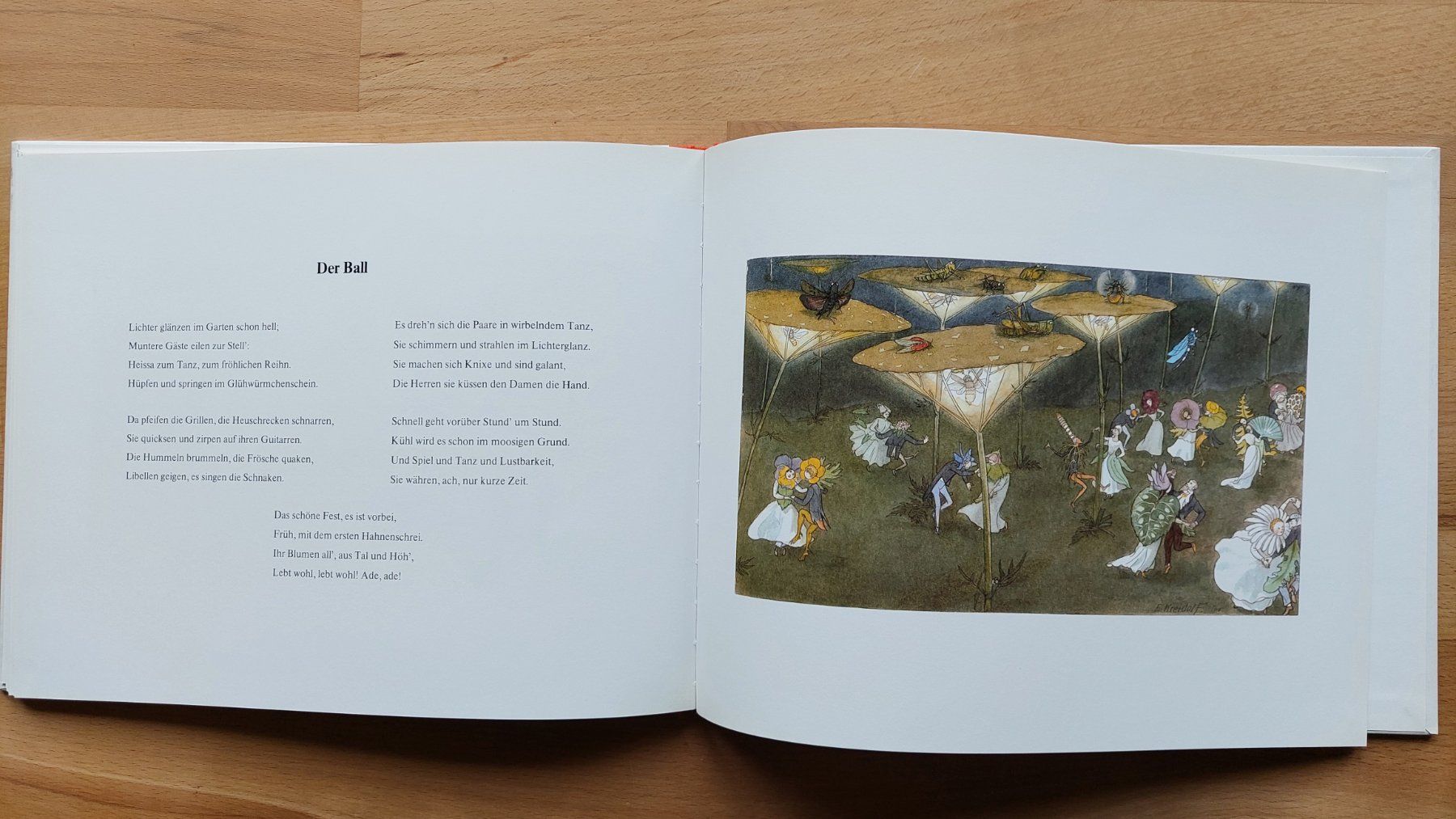 Libri: Blumenmärchen von Ernst Kreidolf – Nuovo (secondo la descrizione) da Obfelden venduto da Foto_Bild_Kunst_Buch 8