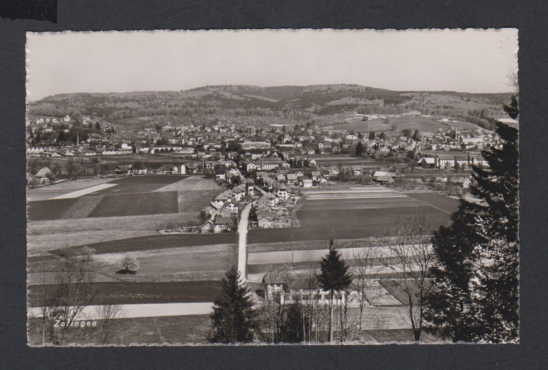 Cartoline postali: Zofingen   -   alte Ansichtskarte** – Usato da Vitznau venduto da Ropaku