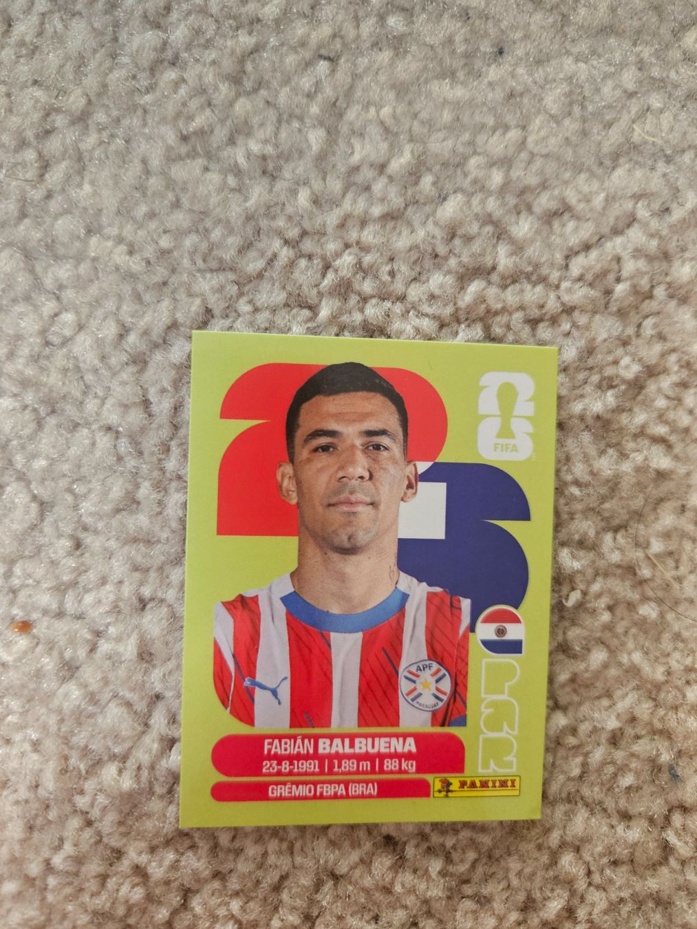 Panini Carte collezionabili: Carte Panini WM 2026 – Usato da Henniez venduto da Tjiminy