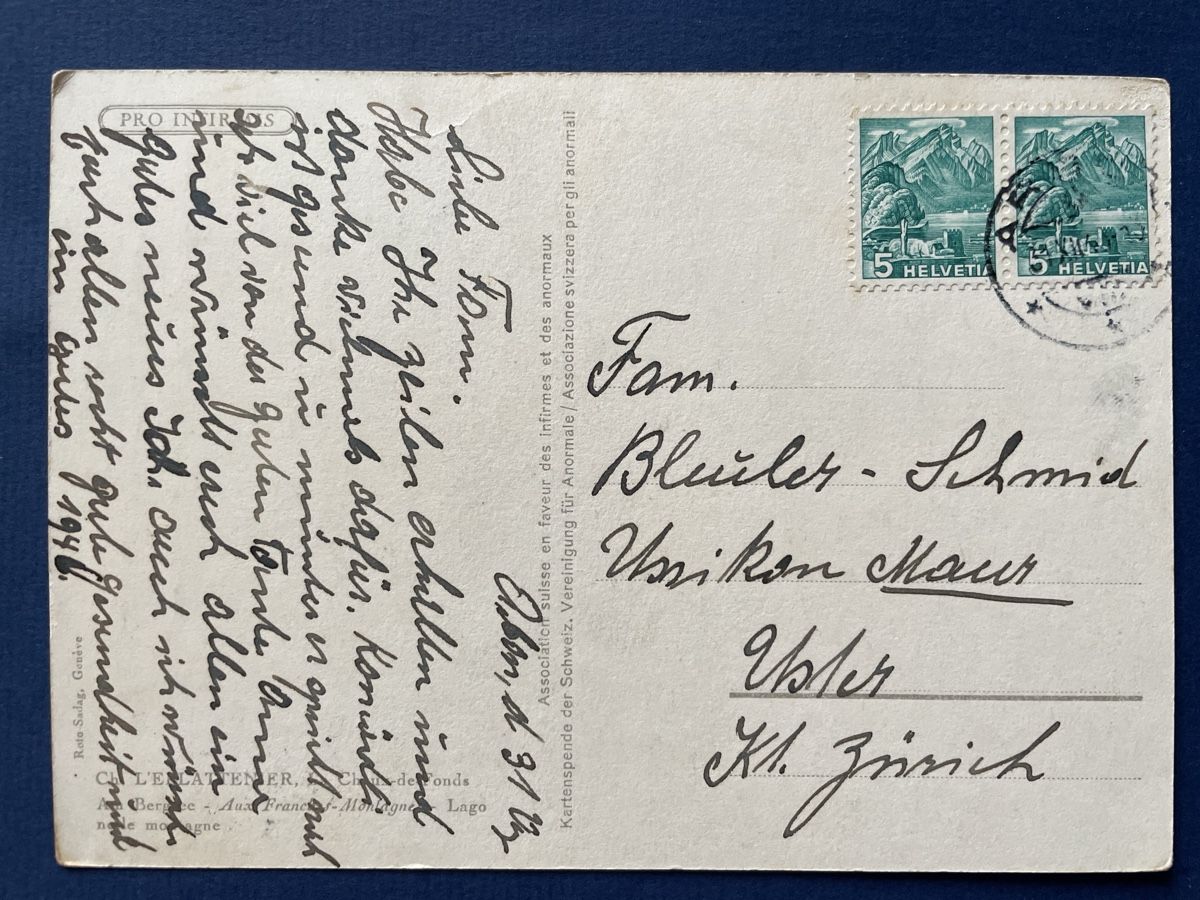 Cartoline postali: Alte Ansichtskarte Schweiz, See mit Pferden, Vintage – Usato da Neuhausen am Rheinfall venduto da Arielle55 1
