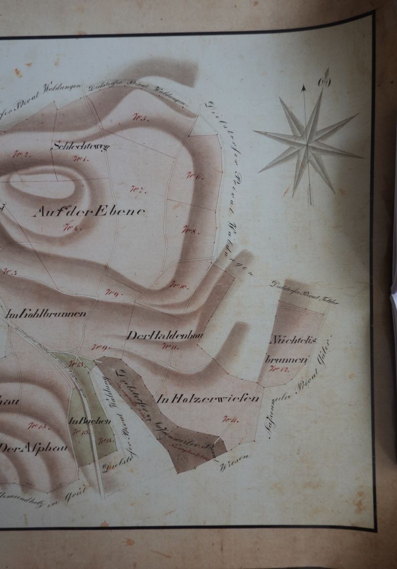 Documenti: Holzgenossenschaft Dielsdorf, 1839 – Usato da Dielsdorf venduto da bonambler 2