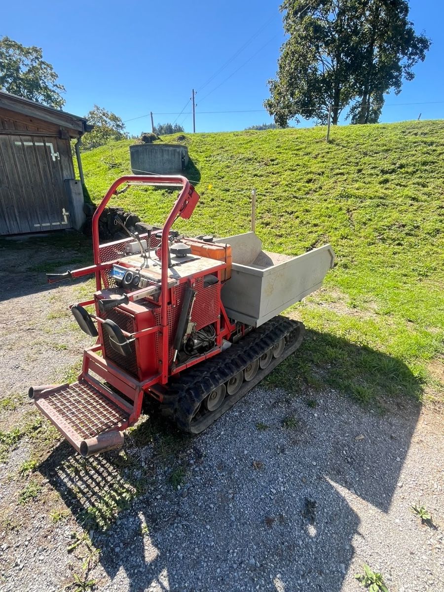Autoribaltabili: YANMAR Raupendumper / 780kg – Usato da Stein AR venduto da Krison98 1