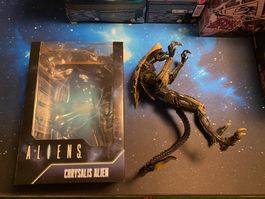 NECA Chrysalis Alien inklusive OVP gebraucht