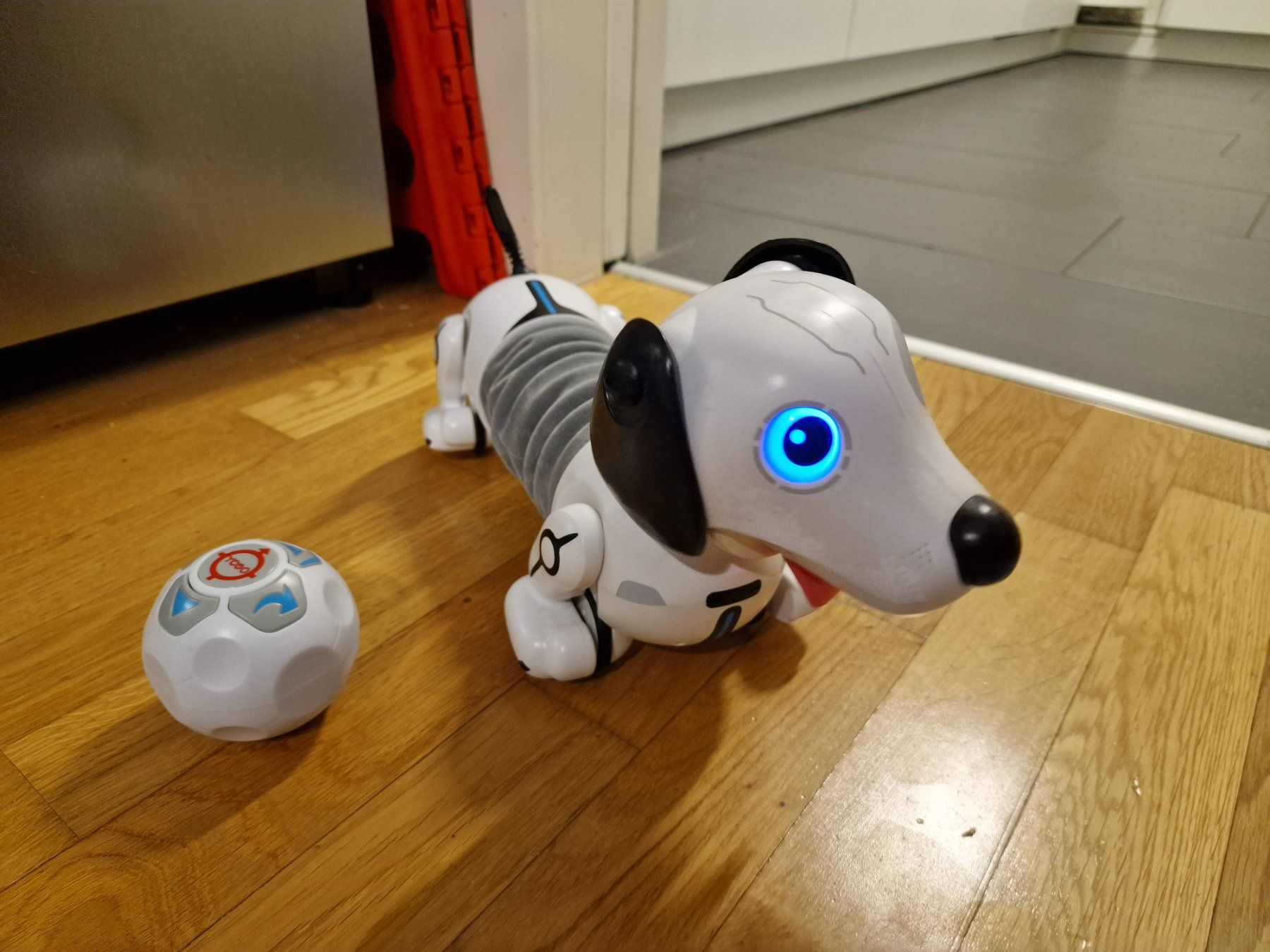 Giocattoli: Robo-Hund / Dackel ferngesteuert – Usato da Hünenberg venduto da fam_evjo1 1