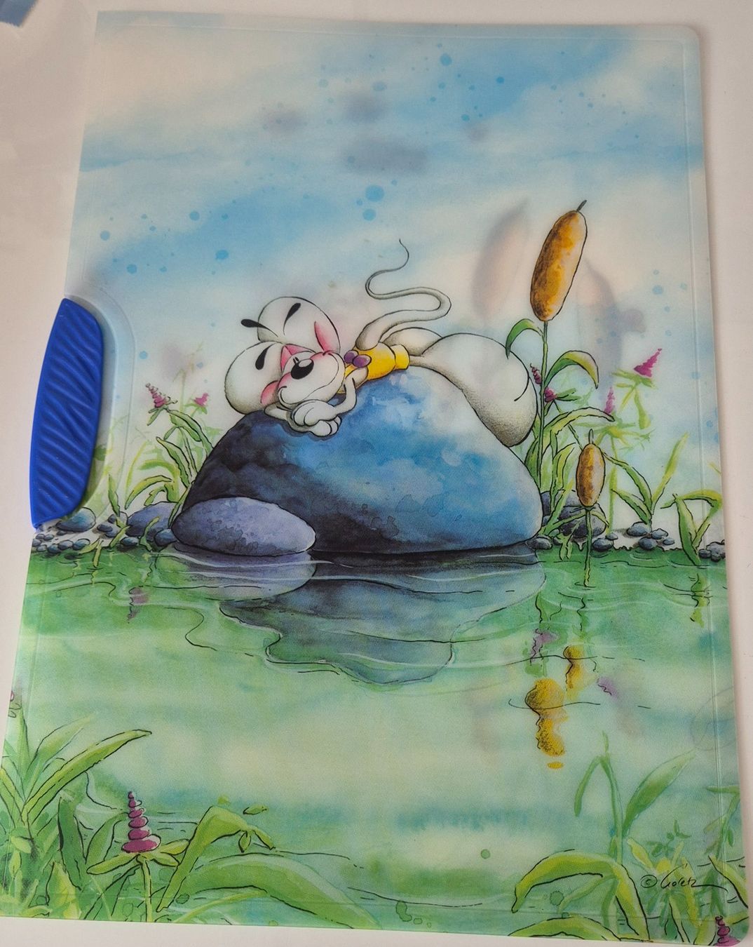 Raccoglitori: Diddl Mäppli A4 Blau – Usato da Urtenen-Schönbühl venduto da Blume.9294