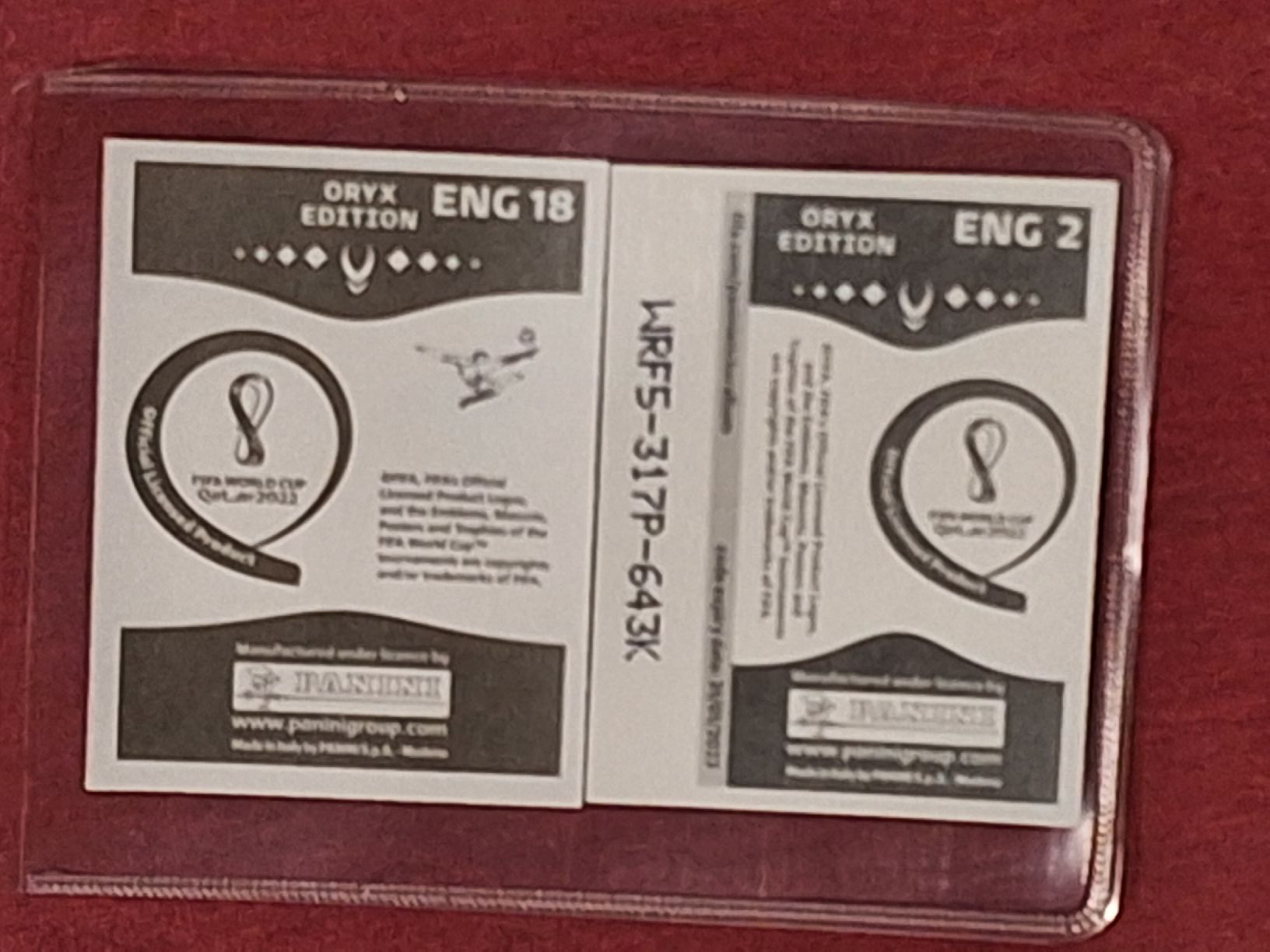 Panini Carte collezionabili: PANINI WM 2022 Harry Kane plus Wappen – Nuovo (secondo la descrizione) da Balsthal venduto da roh_dt72 1