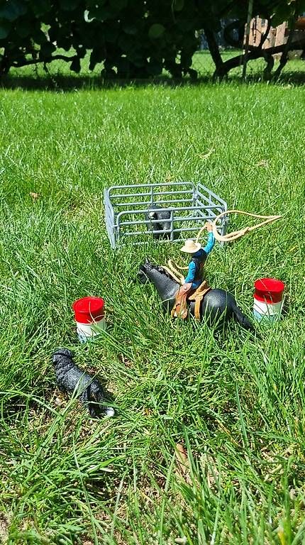 Spielzeuge: Set Western Schleich  – Gebraucht aus St-Sulpice VD von rog_c28g 1
