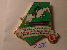1 Pin 25 Jahre ja zum Sport Reiten (256)