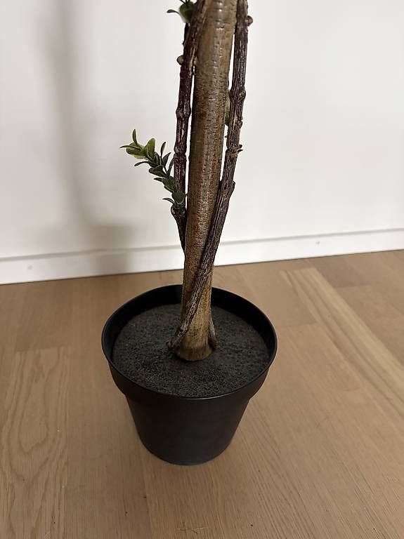 Piante & sementi: Kunstbaum 95cm hoch – Usato da Dübendorf venduto da laser_91 3