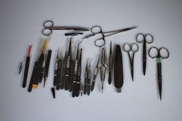 Grosses Konvolut medizinischer Instrumente