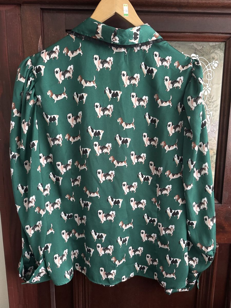 Zara Blusen: Zara Bluse – Neu (gemäss Beschreibung) aus Obfelden von cesarina10 4