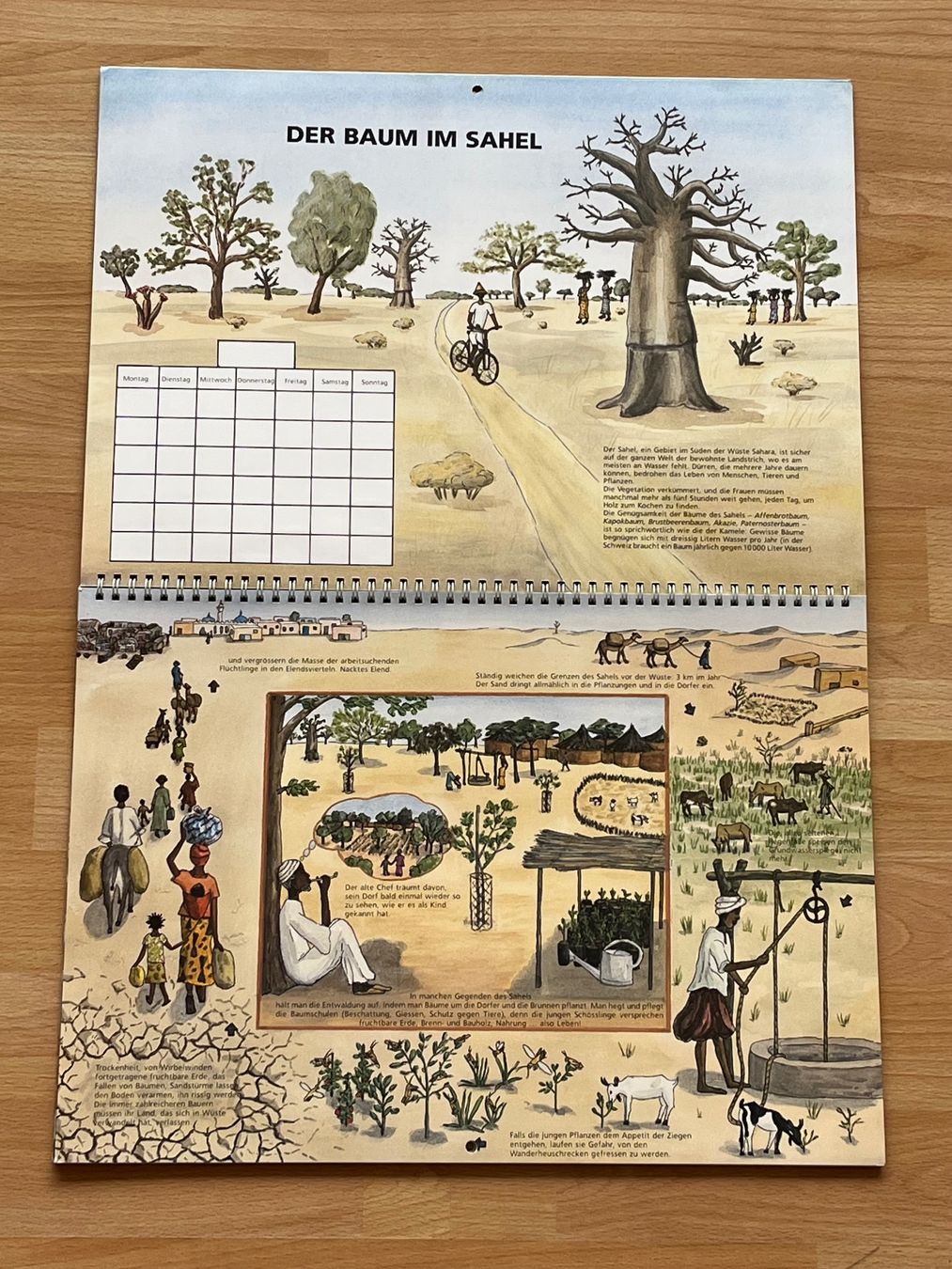 Calendari: Kalender „Der Lebensbaum" – Nuovo (secondo la descrizione) da Uetendorf venduto da sru128 4