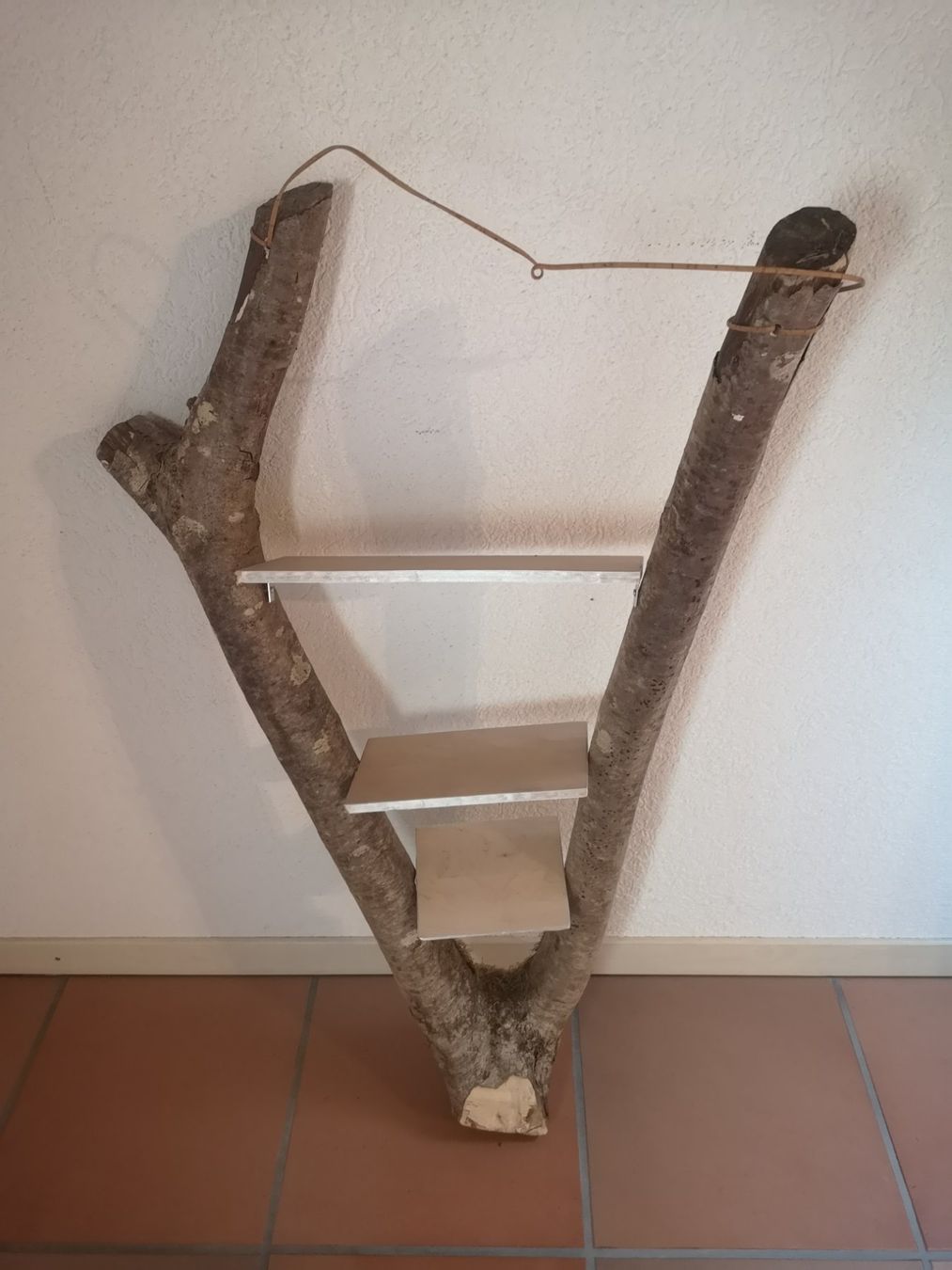 Scaffali: Wandregal – Usato da Herzogenbuchsee venduto da Honigkuchenpferd01