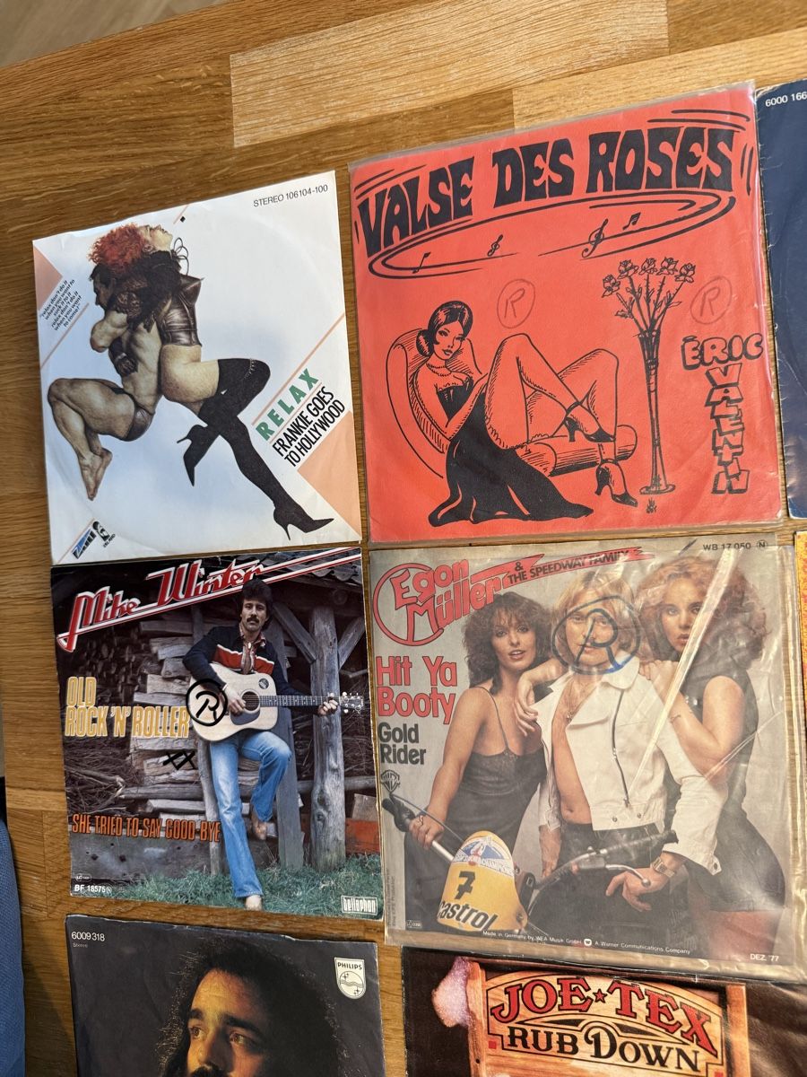 Schallplatten: Single Schallplatten Sammlung – Gebraucht aus Goldach von Messerguru 1