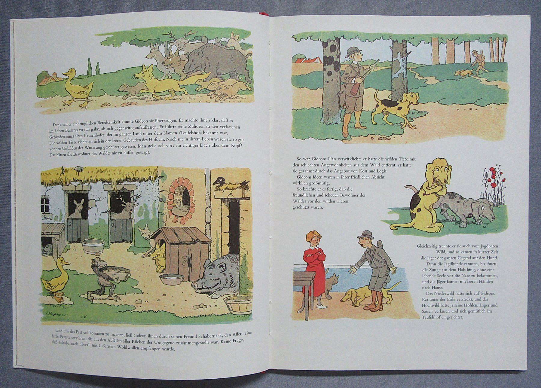 Libri: Gideon im Wald - Ein Diogenes Kinderbuch – Usato da Auenstein venduto da Padabimbim 2