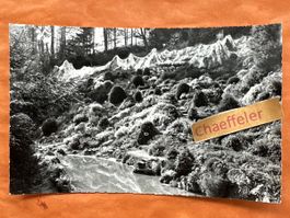 1958 Hans Kohli, Alpine Gärtnerei Graben, Niederscherli￼