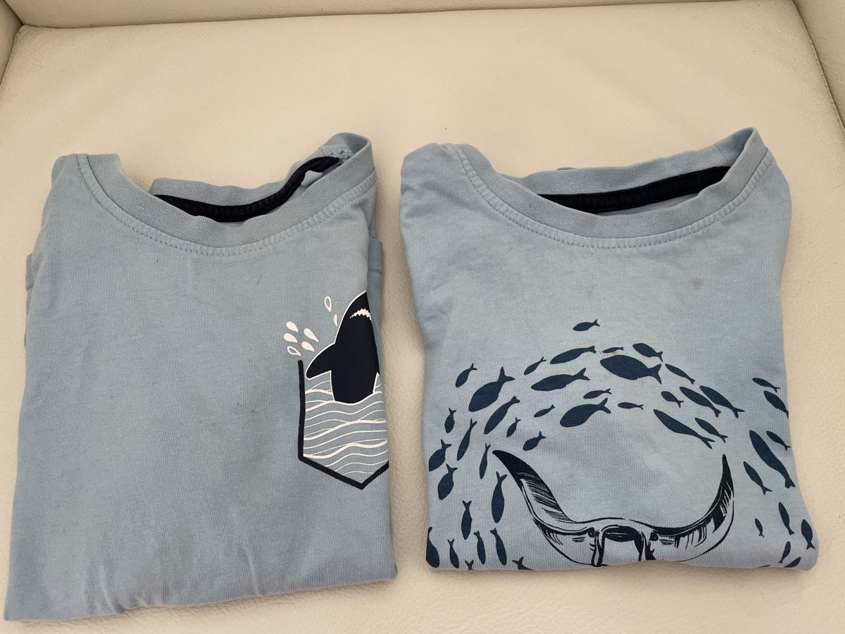 Lotti & Set di vestiti: Zwei Shirts Gr 98/104 – Usato da Rüti ZH venduto da kar_xx9l