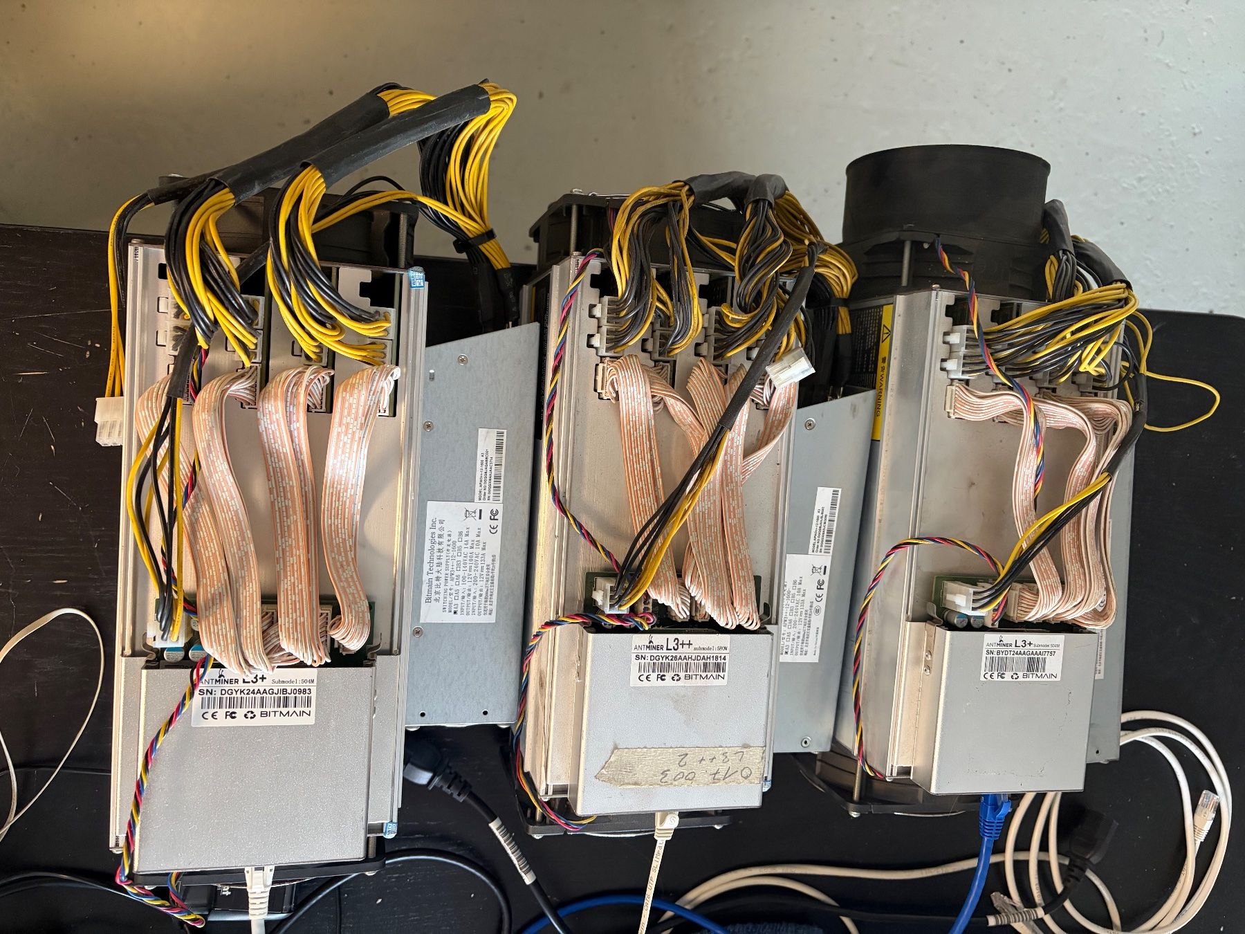 Bitmain Coin Miner: 3x Antminer L3+ / L3++ – Usato da Hölstein venduto da mb187