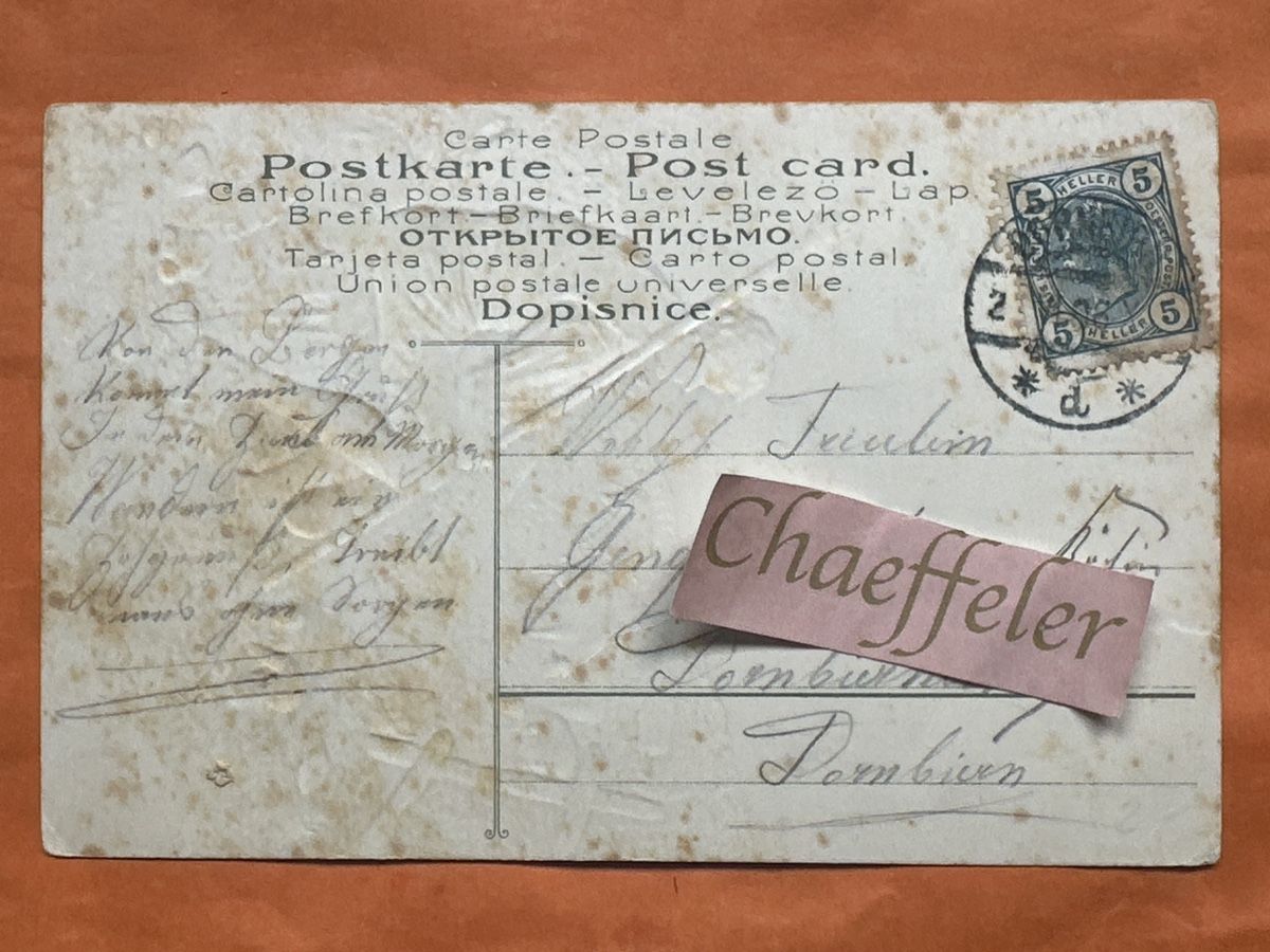Ansichtskarten: Antike Ansichtskarten aus Österreich 1908. Das letzte Edelwe – Gebraucht aus Zürich von Chaeffeler 1