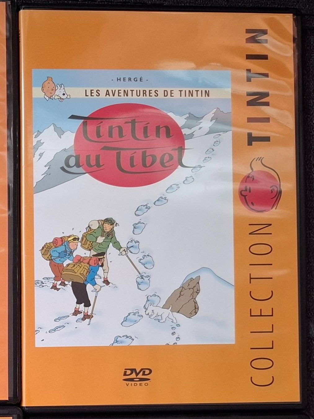 Tutti i DVDs: DVD Collection Tintin – Usato da Lussery-Villars venduto da chanson99