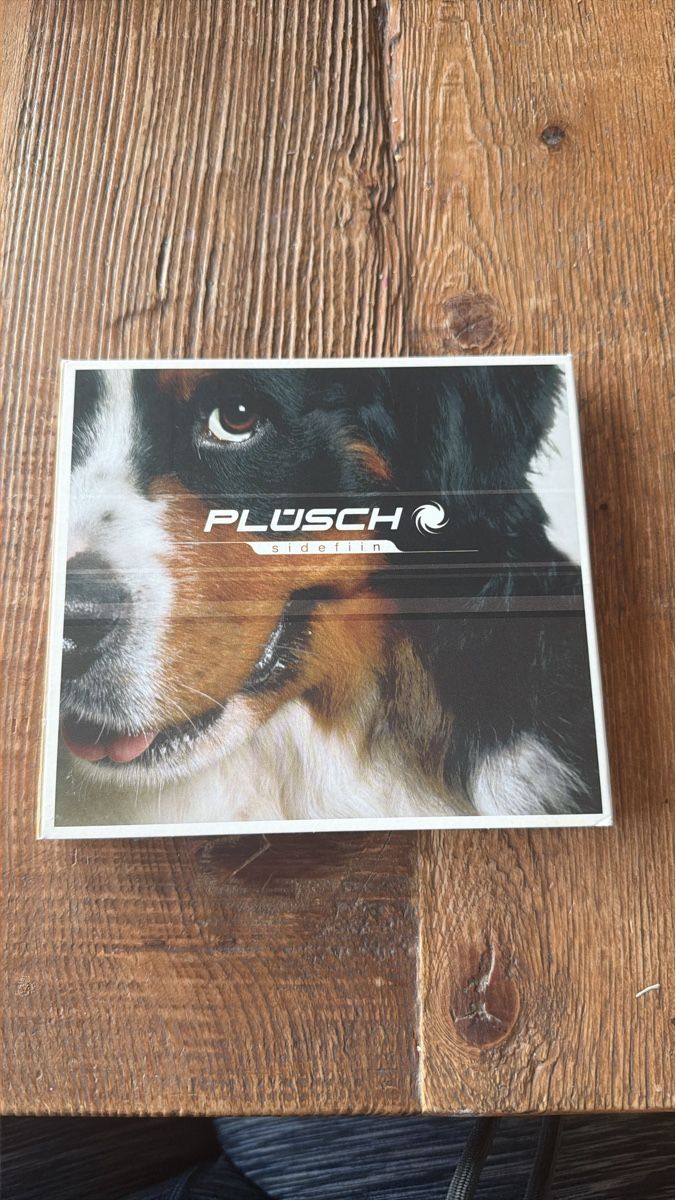 CDs: CD Plusch Sidefiin gebraucht – D'occasion à Dürnten par energy3tk