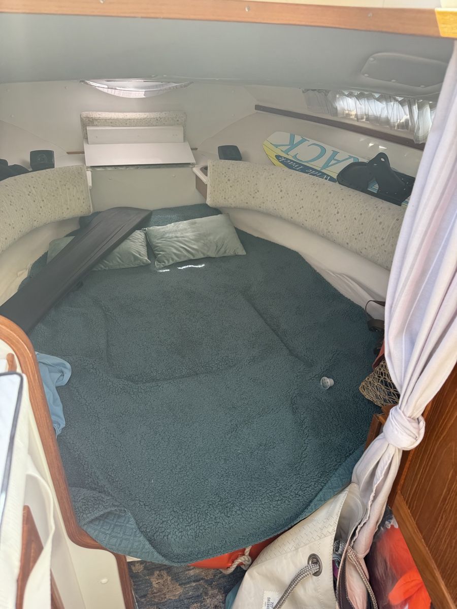 Windy Boote: Windy 7800 mit Bodenseezulassung  – Gebraucht aus Schaffhausen von mic_2kx6 7