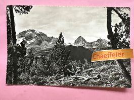1955 Piz d‘Aela - Tinzenhorn - Piz Michel
