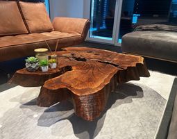 Unikat Couchtisch aus massivem Baumstammholz