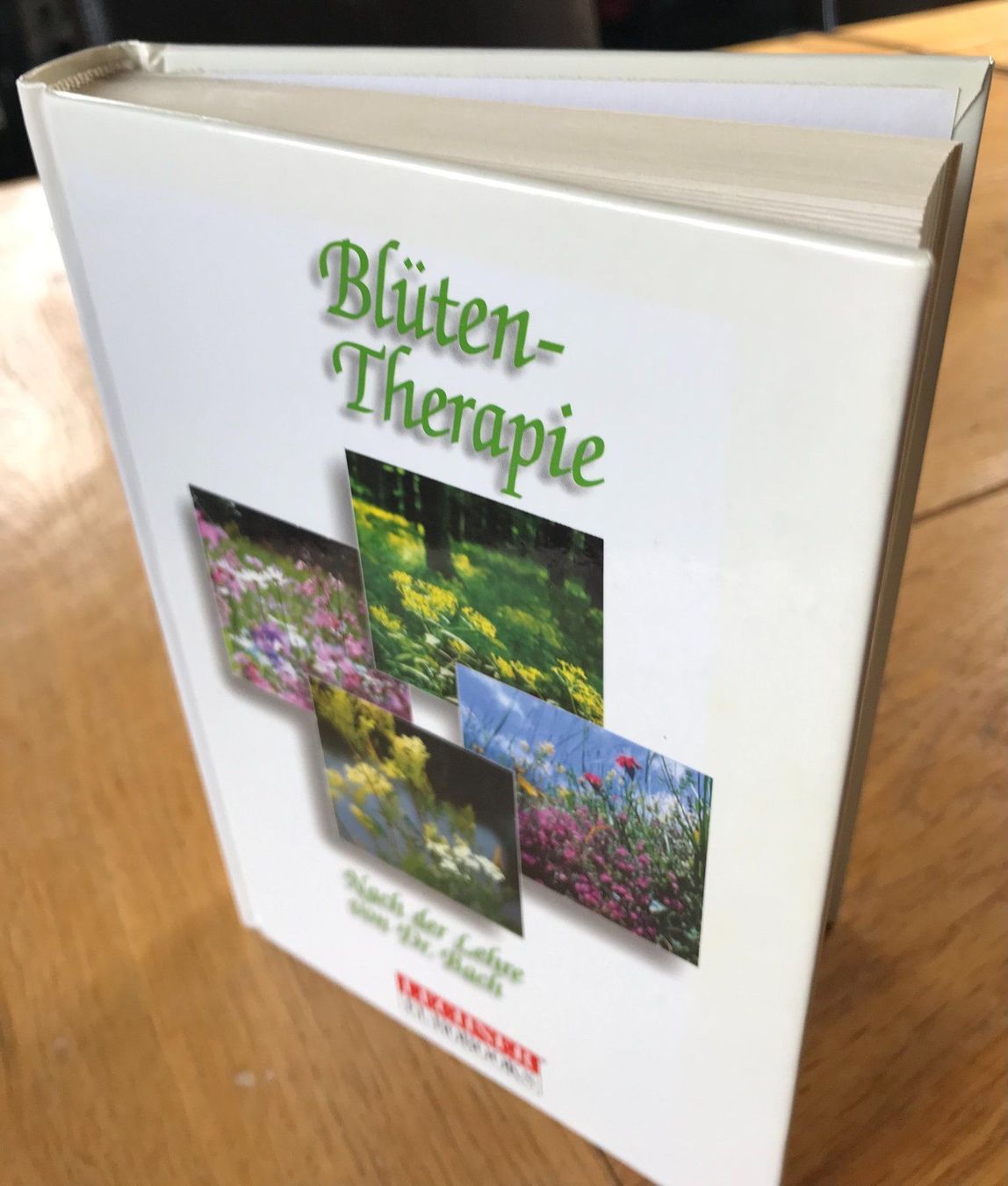 Libri: Bach - Blütentherapie - nach Dr. Bach – Nuovo (secondo la descrizione) da Arbon venduto da KaSaBo
