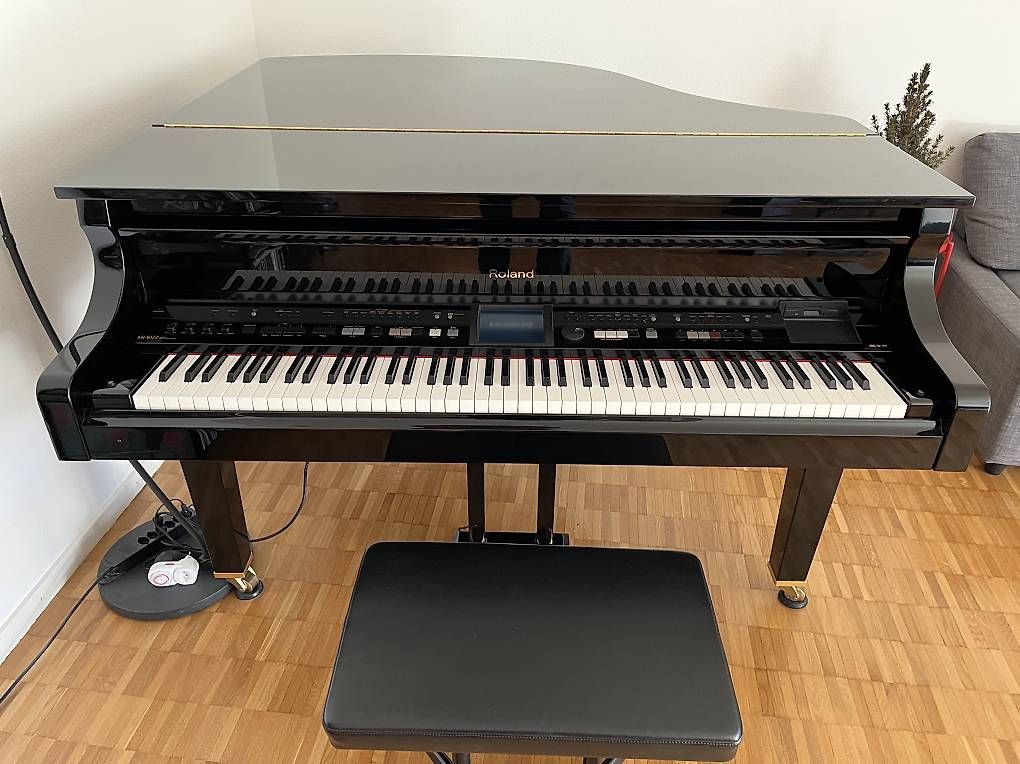 Strumenti musicali: E-Piano Halbflügel – Usato da Zofingen venduto da Edonis 1