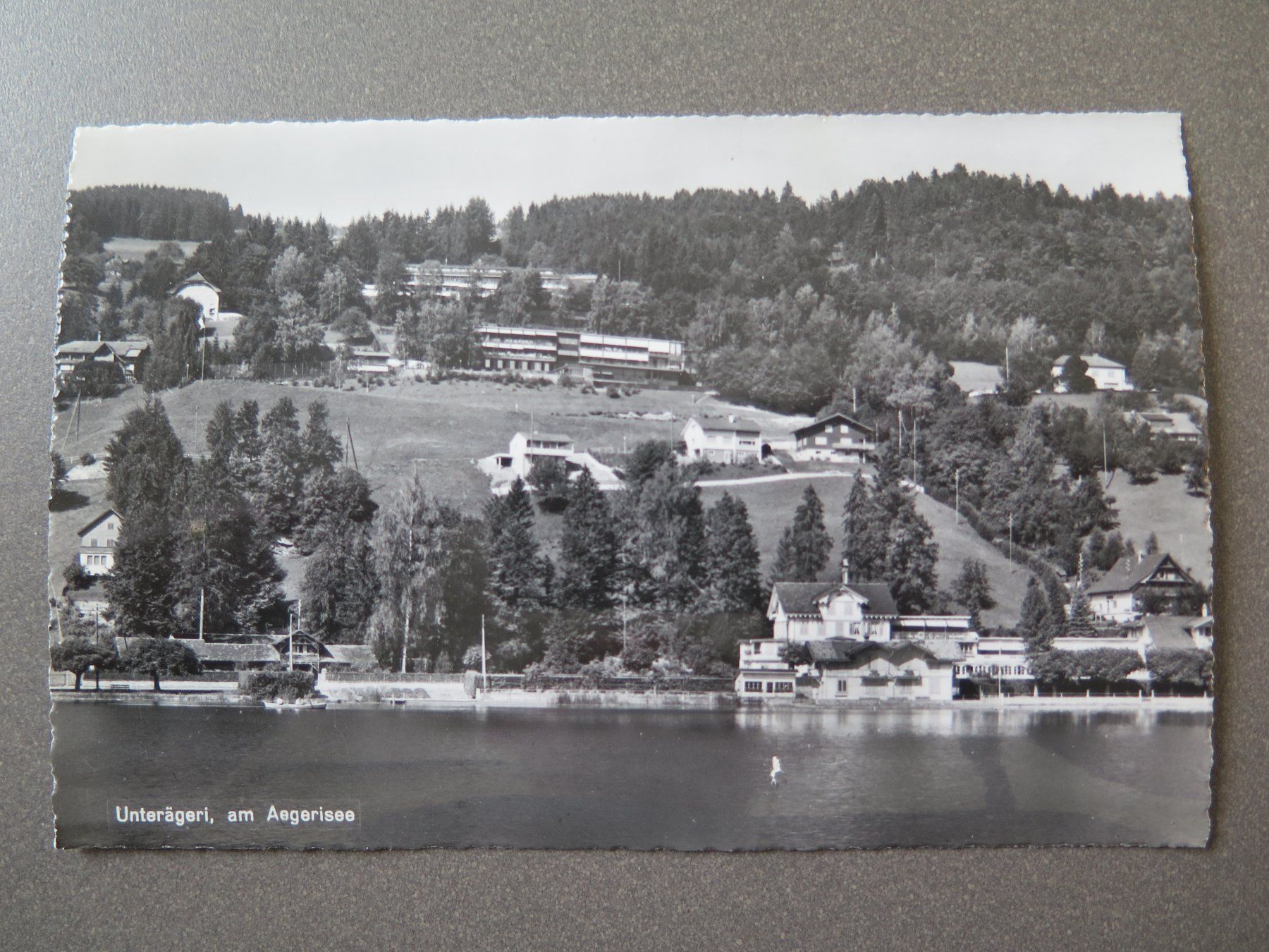 Cartoline postali: UNTERÄGERI - AM AEGERISEE – Usato da Wittenbach venduto da lipasal