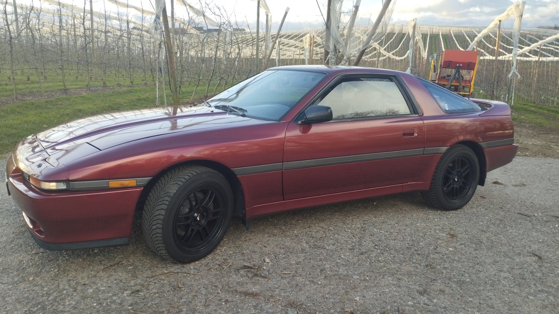 Toyota Automobili: Toyota Supra 3.0 Turbo – Usato da Cossonay-Ville venduto da Ya2win 7