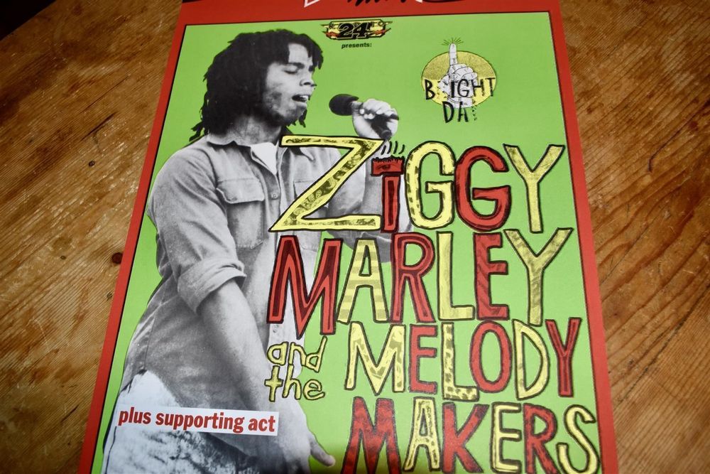 Ziggy Marley Haare