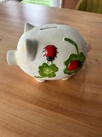Süsses Sparschwein, Glücksschwein mit Marienkäfer-Motiv!