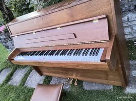 Caspar Kunz Royal Piano 