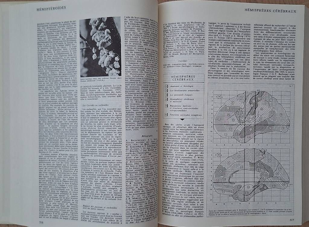 Libri: Encyclopédie universelle,  20 volumes, 1968 – Usato da Conthey venduto da crittin1 1
