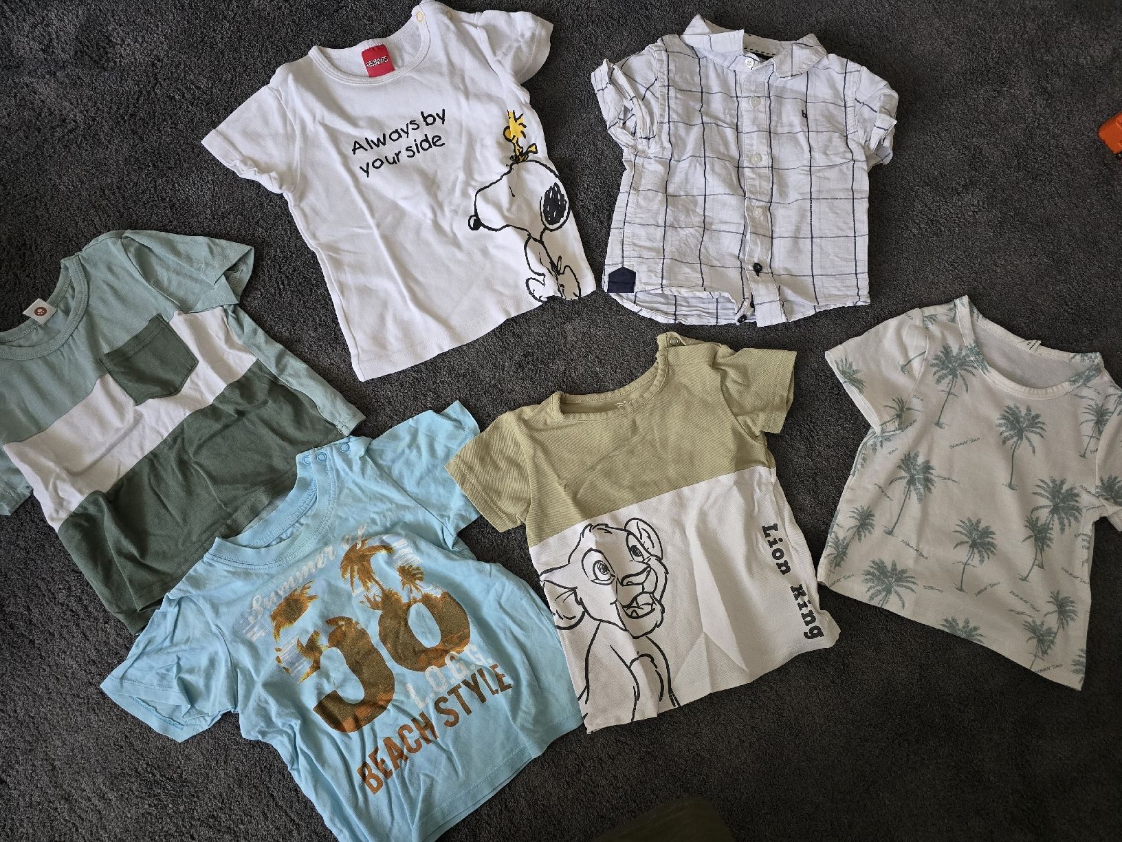 Camicie, T-shirt & Polo: Tshirt Grösse 86  – Usato da Sulgen venduto da Seven_Speed