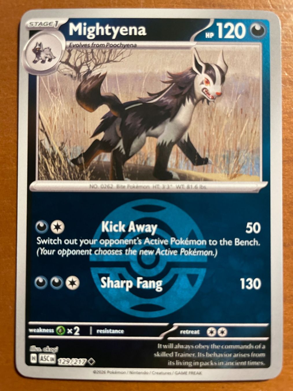 Pokémon Sammelbilder & Trading cards: Pokemon Mightyena Reverse (Versand gratis) – Neu (gemäss Beschreibung) aus Chur von Angerson