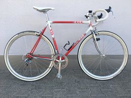Rennvelo Freddy Rüegg