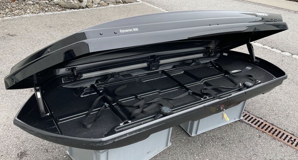 Thule Dynamic 800 M 320l Dachbox Acheter Sur Ricardo