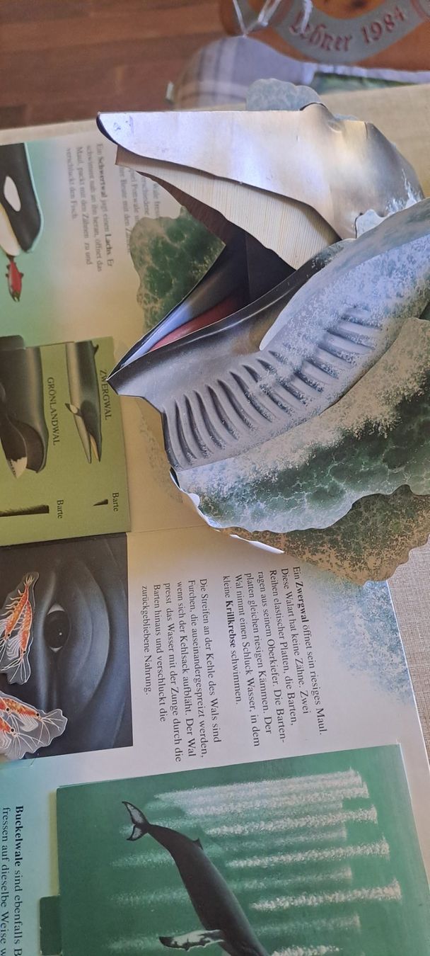 Libri: Wale und dinosaurier buch – Usato da Bitsch venduto da jajo79076 3